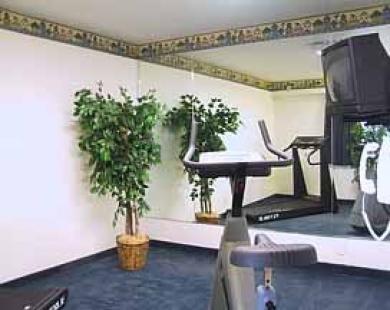San Mateo Sfo Airport Hotel Fasiliteter bilde